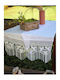 Whitegg Läufer Weiß 152x150cm