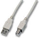 EFB 5m USB 2.0 Cable A-Male to B-Male Gray (K5255.5)