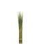 Grass Bundle Μπουκέτο από Τεχνητά Λουλούδια 60cm Atmosphera