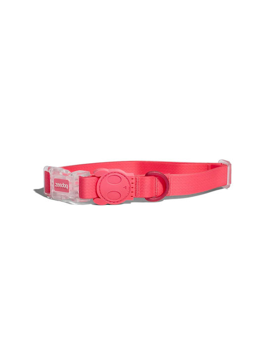 Waterproof dog collar Zeedog Collar Neopro Bubblegum S 31-43cmx1,5cm