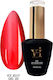 Ημιμόνιμο Βερνίκι Beauty Vi Ice Jelly Gel 30 15ml