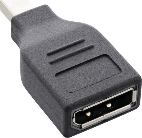 InLine Μετατροπέας DisplayPort / mini DisplayPort male σε DisplayPort / mini DisplayPort female 1τμχ (17196B)