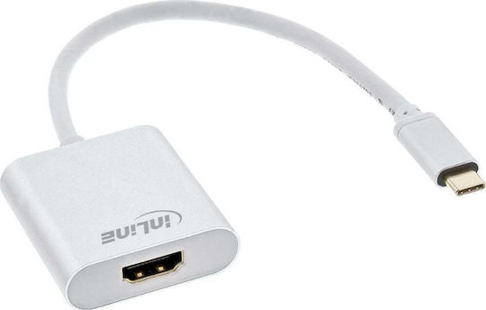 InLine Konverter USB-C / HDMI / DisplayPort / Thunderbolt 3 männlich zu HDMI / DisplayPort / Thunderbolt 3 männlich Silber 1Stück 64101S