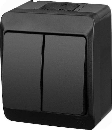 Elektro Plast Waterproof Wall-mounted Double Wall Switch with Frame Black