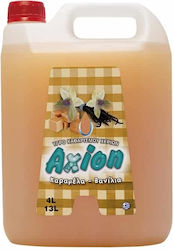 Axion Επαγγελματικό Καθαριστικό Χεριών Axion Επαγγελματικό Καθαριστικό Χεριών