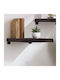 Regal Wand Braun 40x60x2cm