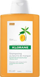 Klorane Mango Подхранващ Шампоан за Възстановяв...