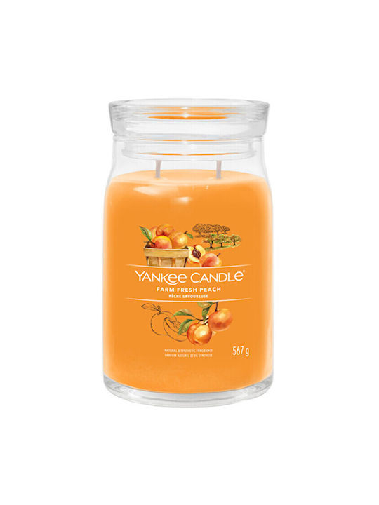 Yankee Candle Duftkerze Farm Fresh Peach Signature 567gr 1Stück