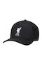 Nike Liverpool Fc Rise cap Fn4877-011