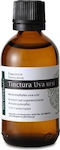 Think GAEA Tincture Uva Ursi 50ml