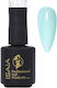 Isaia Professional Gel Nail Polish N 203 15ml Isaia Professional Nail Products
