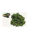 Moss 500g Green 1 pc