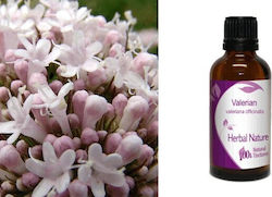 Ethereal Nature Tincture Valerian 50ml