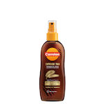 Carroten Intensive Tan Oil Tanning for the Body in Spray 70ml