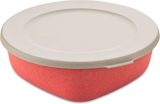 Koziol Plastic Lunch Box 1300ml
