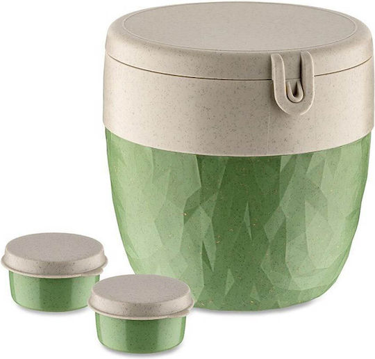Koziol Lunch Boxes Nature Leaf 800ml 3 Pieces Koziol Lunch Boxes Nature Leaf 800ml 3 Pieces