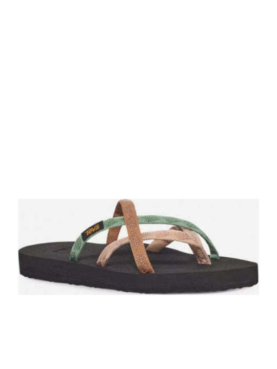 Teva