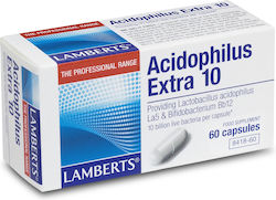 Lamberts Acidophilus Extra 10 Probiotika 60 Mützen