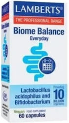 Lamberts Acidophilus Extra 10 Probiotic Supplem...
