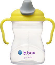 B.Box Εκπαιδευτικό Μπιμπερό για 4m+ 240ml