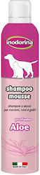 Inodorina Katzenshampoo