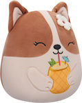 Jazwares Jucărie de Pluș Squishmallows Regina Corgi-ul Brown and White 19 cm