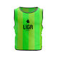 Liga Sport Mesh Training Bibs in Grün Farbe