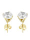 Papadopoulos Gold Cercei din Aur 14K cu Pietre