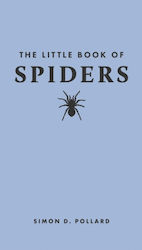 Little Book Of Spiders