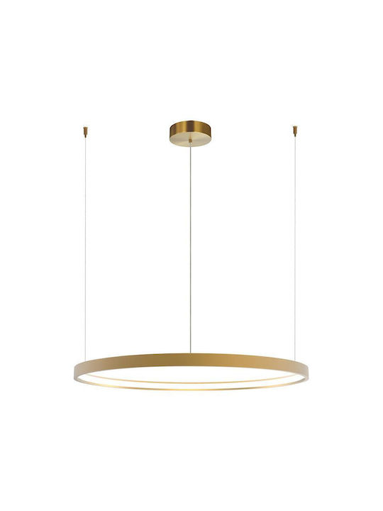 Zambelis Lights Pendant Light Gold