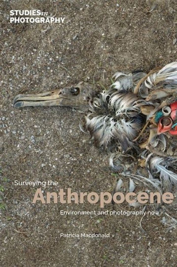 Surveying The Anthropocene: