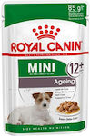 Royal Canin Wet Food Dog