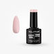 Elixir Semi Gel Semi Permanent Polish 1364 Meer...