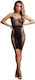 Sexy Lace Dress Le Desir Knee Length Lace Fishnet Dress Black