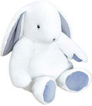 Plush Bunny Bunny