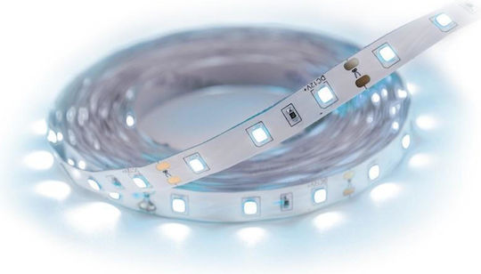 Struhm Ταινία LED Ψυχρό Λευκό Φως 5m