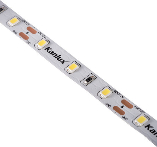 Kanlux Αδιάβροχη Ταινία LED 30m