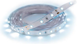 Struhm Ταινία LED Ψυχρό Λευκό 3m Struhm Ταινία LED Ψυχρό Λευκό 3m
