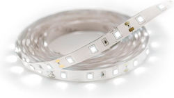 Struhm Ταινία LED 3m Struhm Ταινία LED 3m