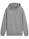 Puma Kids Sweatshirt with Hood Gray