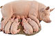 Miniatures Safari Sow Piglets Piglet Piggy Sow Piglets