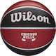 Wilson Team Tribute Chicago Bulls Basket Ball O...