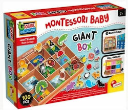 Lisciani Giochi Montessori Educational Toy Knowledge