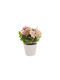 Artificial Plant in Small Pot Grass White 16cm TnS