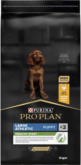 Pro Plan Healthy Start Large Athletic 12kg Hrana Uscată Pentru Căței Rase Mari Cu Pui Athletic