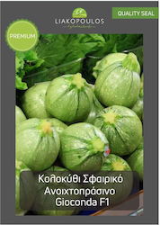 Liakopoulos Fytotechniki Seeds Pumpkinς Zucchini