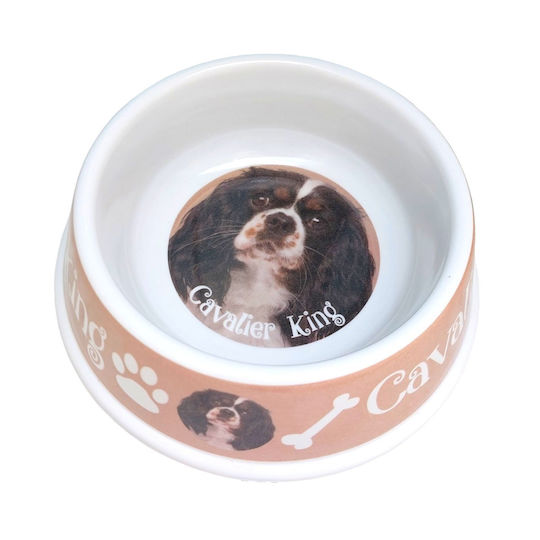 PVC Bol Mâncare & Apă pentru Câine & Pisică 700ml