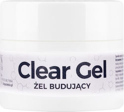 New Ntn Uv Led Builder Gel Clear 50g Medium Liquidity New Ntn Uv Led Builder Gel Clear 50g Medium Liquidity