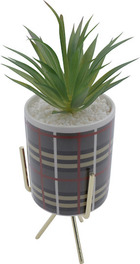 Sukkulente Pflanze in Topf Grau 25cm Uncle George