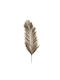 Decorative Feather Brown 110cm Iliadis